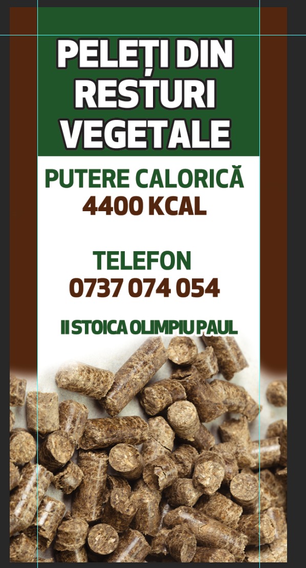 WhatsApp Image 2025-05-20 at 09.34.45